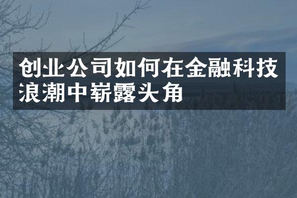 创业公司如何在金融科技浪潮中崭露头角