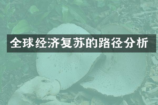 全球经济复苏的路径分析