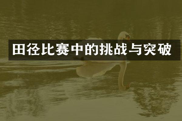 田径比赛中的挑战与突破