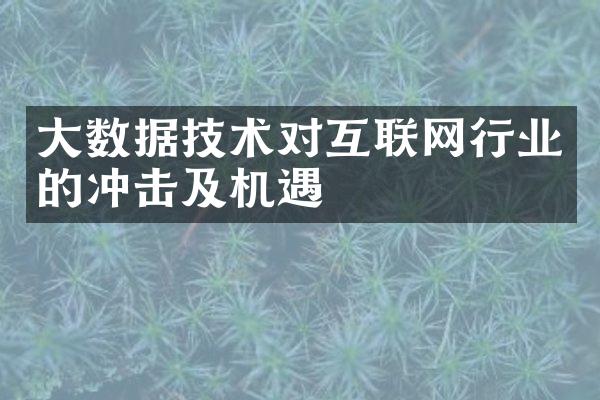 大数据技术对互联网行业的冲击及机遇