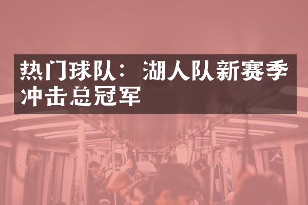 热门球队：湖人队新赛季冲击总冠军