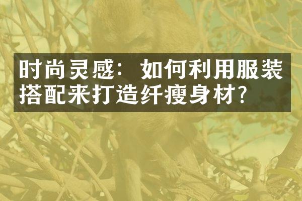 时尚灵感：如何利用服装搭配来打造纤材？