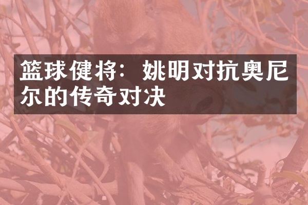 篮球健将：姚明对抗奥尼尔的传奇对决