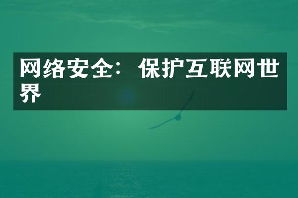 网络安全：保护互联网世界