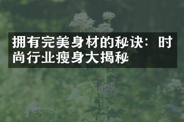 拥有完美身材的秘诀：时尚行业瘦身大揭秘