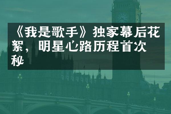 《我是歌手》独家幕后花絮，明星心路历程首次揭秘