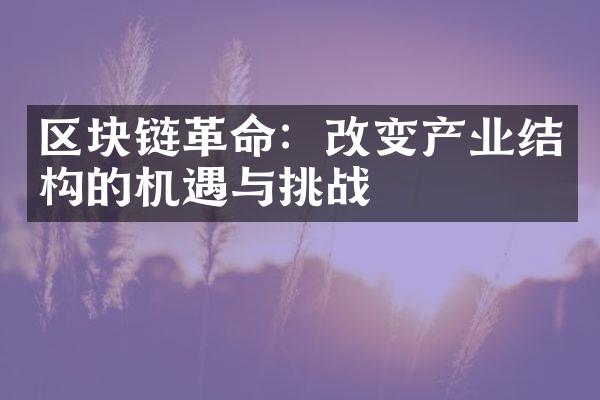 区块链革命：改变产业结构的机遇与挑战