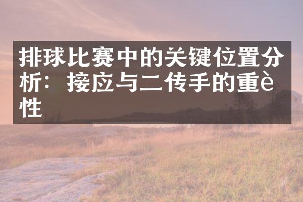 排球比赛中的关键位置分析：接应与二传手的重要性