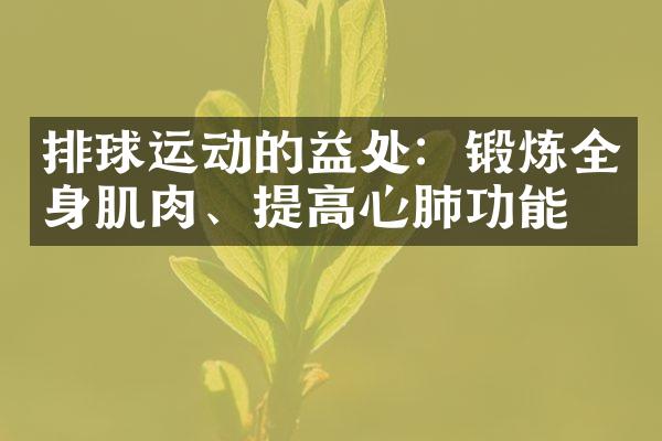 排球运动的益处：锻炼全身肌肉、提高心肺功能