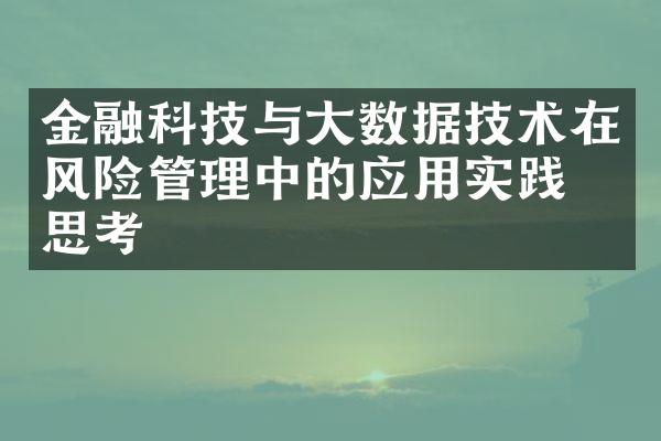 金融科技与大数据技术在风险管理中的应用实践及思考