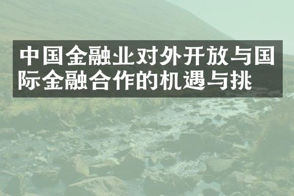 中国金融业对外开放与国际金融合作的机遇与挑战