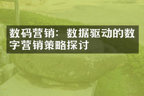 数码营销：数据驱动的数字营销策略探讨