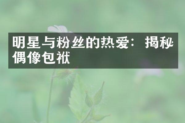 明星与粉丝的热爱：揭秘偶像包袱