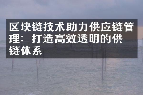 区块链技术助力供应链管理：打造高效透明的供应链体系