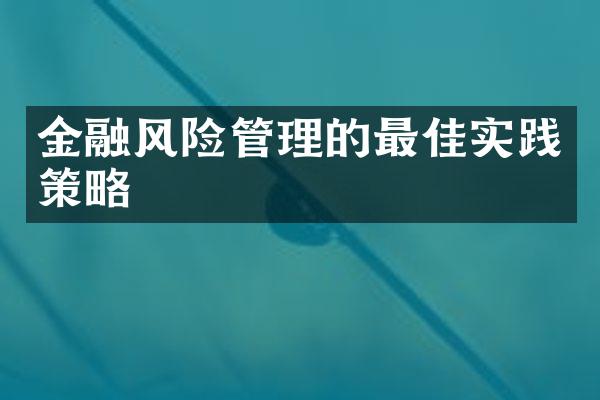 金融风险管理的最佳实践策略