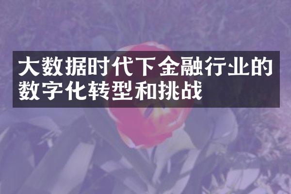 大数据时代下金融行业的数字化转型和挑战