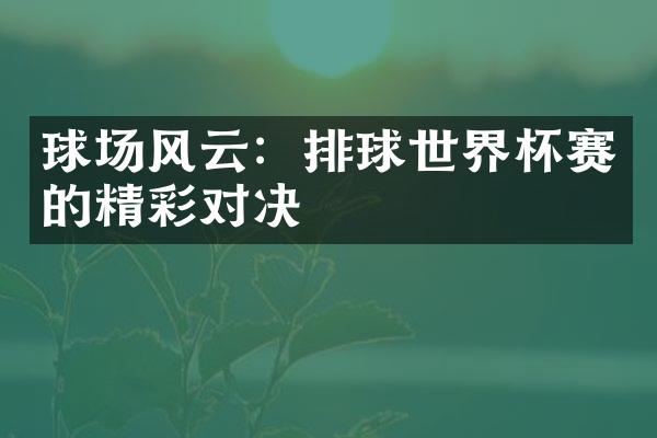 球场风云：排球世界杯赛的精彩对决