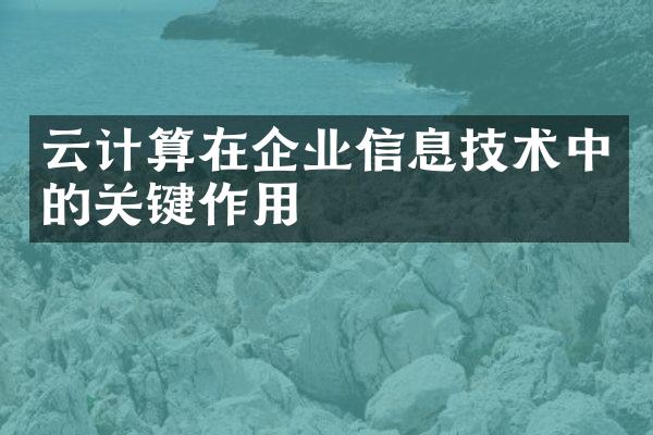 云计算在企业信息技术中的关键作用