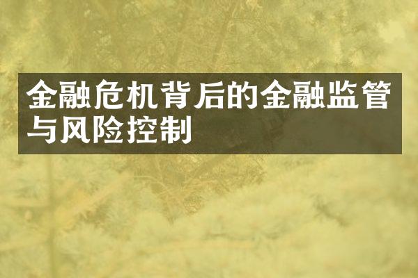 金融危机背后的金融监管与风险控制