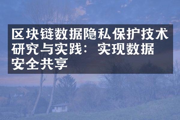 区块链数据隐私保护技术研究与实践：实现数据的安全共享