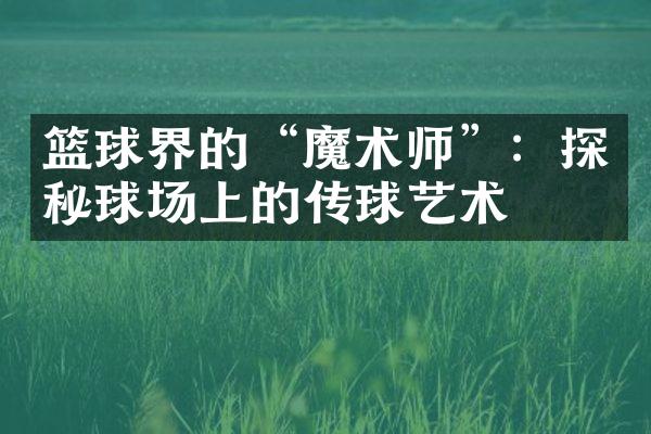 篮球界的“魔术师”：探秘球场上的传球艺术