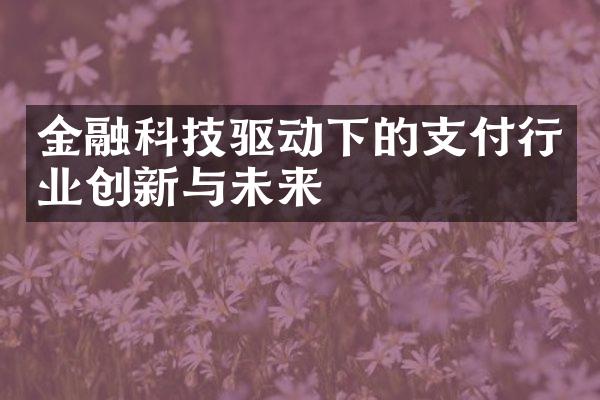 金融科技驱动下的支付行业创新与未来