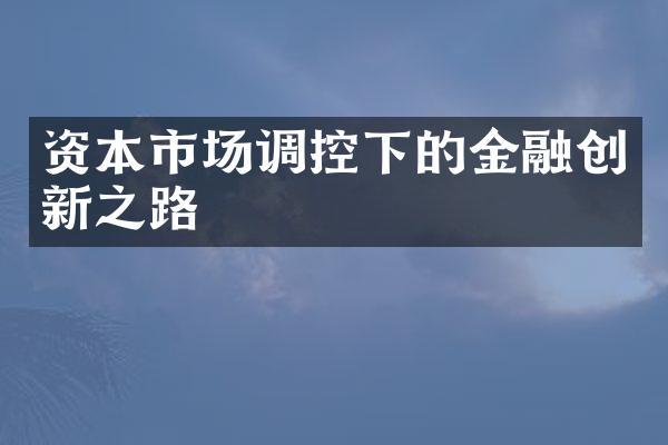 资本市场调控下的金融创新之路