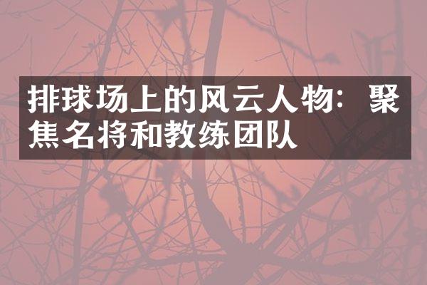 排球场上的风云人物：聚焦名将和教练团队