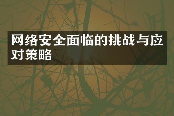 网络安全面临的挑战与应对策略