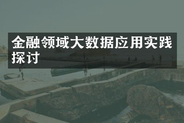 金融领域大数据应用实践探讨