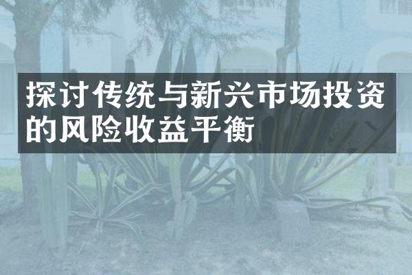 探讨传统与新兴市场投资的风险收益平衡