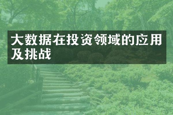 大数据在投资领域的应用及挑战