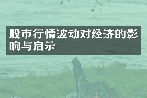 股市行情波动对经济的影响与启示