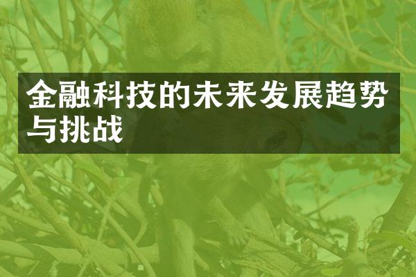 金融科技的未来发展趋势与挑战