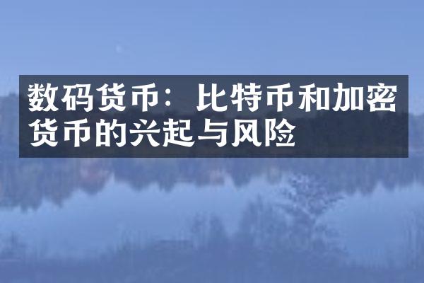 数码货币：比特币和加密货币的兴起与风险