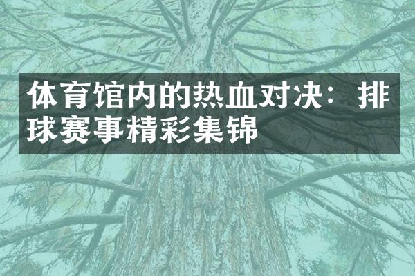 体育馆内的热血对决：排球赛事精彩集锦