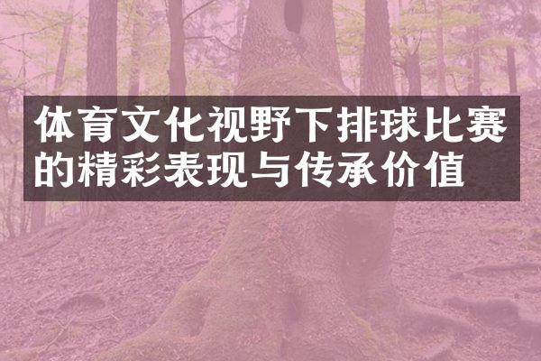 体育文化视野下排球比赛的精彩表现与传承价值