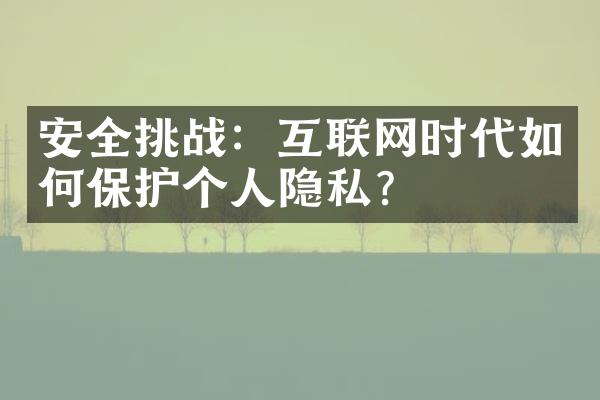 安全挑战：互联网时代如何保护个人隐私？