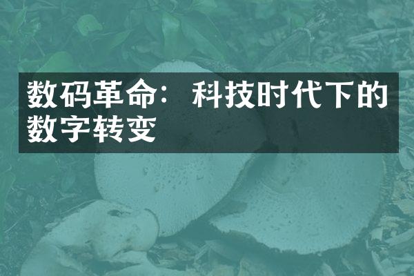 数码革命：科技时代下的数字转变