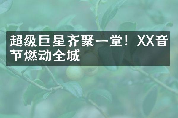 超级巨星齐聚一堂！XX音乐节燃动全城