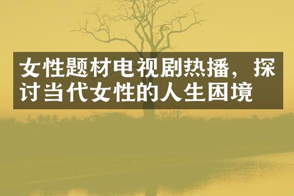 女性题材电视剧热播，探讨当代女性的人生困境