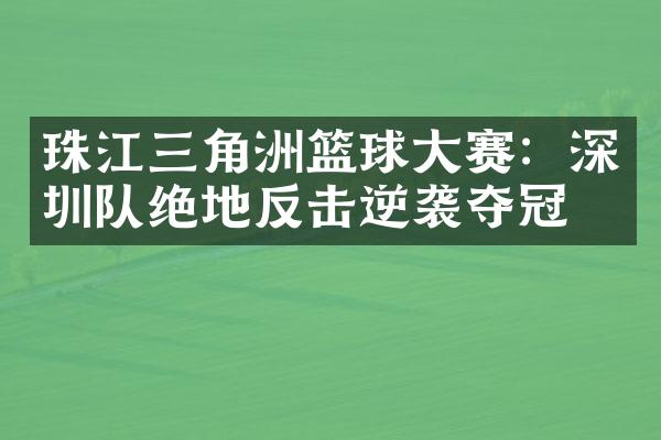 珠江三角洲篮球大赛：深圳队绝地反击逆袭夺冠