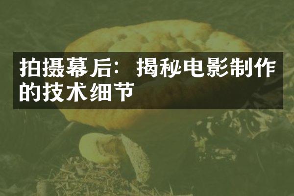 拍摄幕后：揭秘电影制作的技术细节