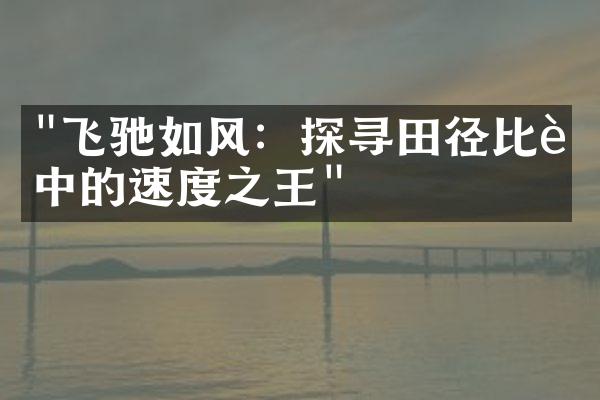 "飞驰如风：探寻田径比赛中的速度之王"