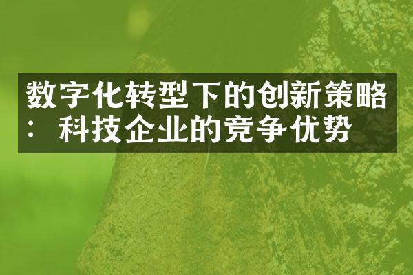 数字化转型下的创新策略：科技企业的竞争优势