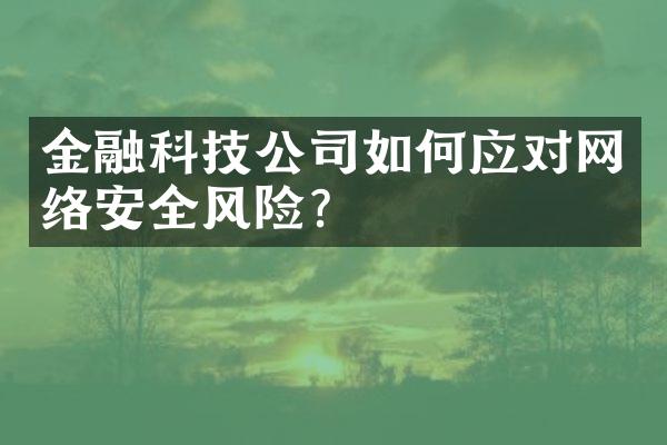 金融科技公司如何应对网络安全风险？