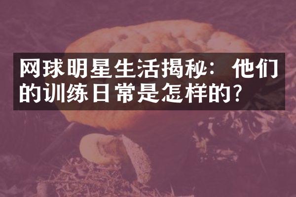 网球明星生活揭秘：他们的训练日常是怎样的？