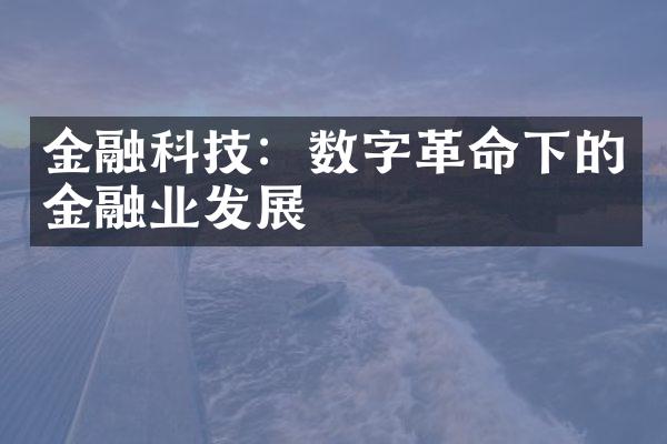 金融科技：数字革命下的金融业发展