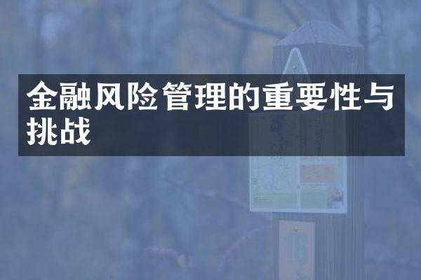 金融风险管理的重要性与挑战