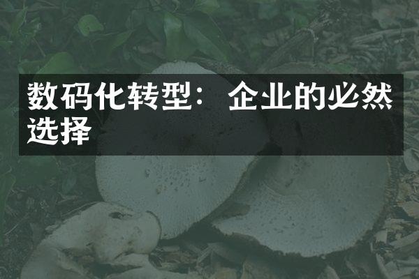 数码化转型：企业的必然选择